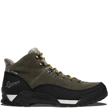 Black Olive Men's Danner Panorama 6" Hiking Boots | NZ4836AP