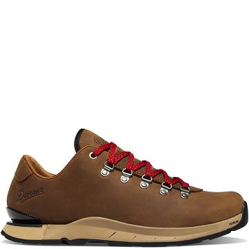 Brown Men's Danner Mountain Overlook Hiking Shoes | NZ4784DN