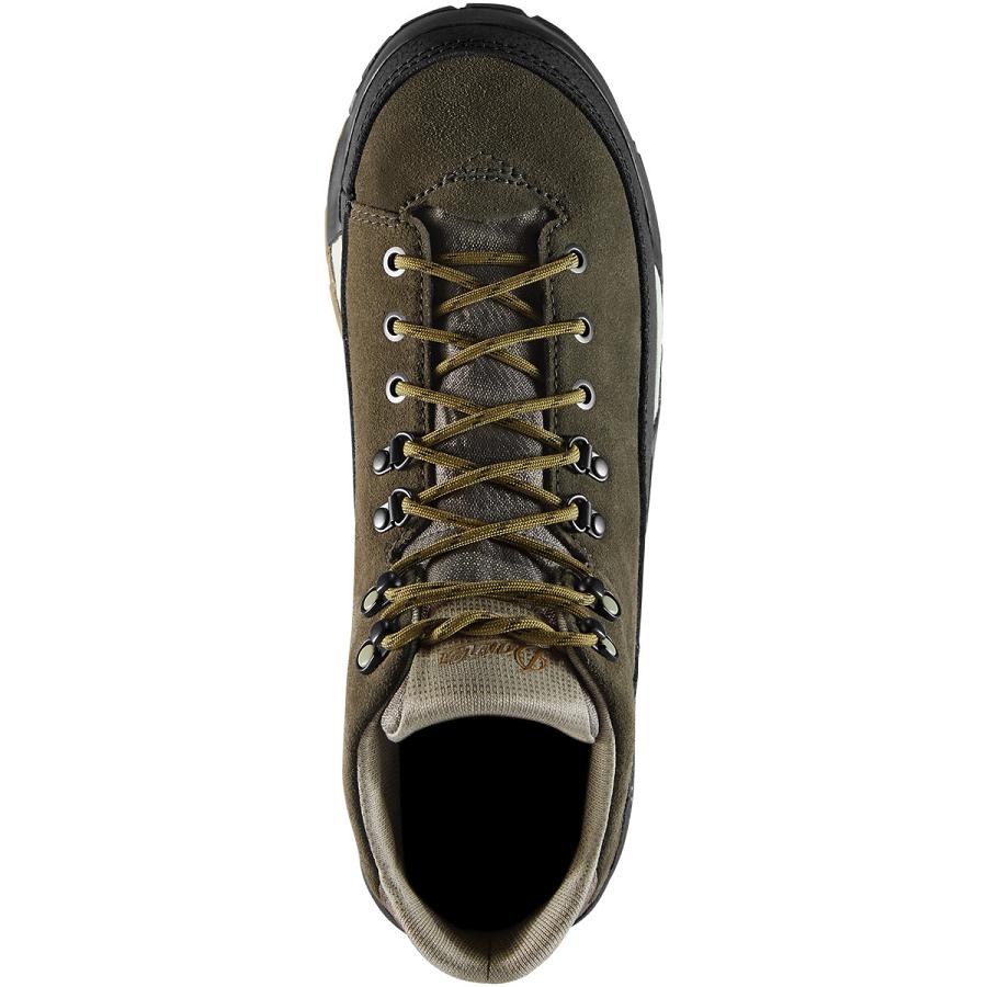 Black Olive Men's Danner Panorama 6