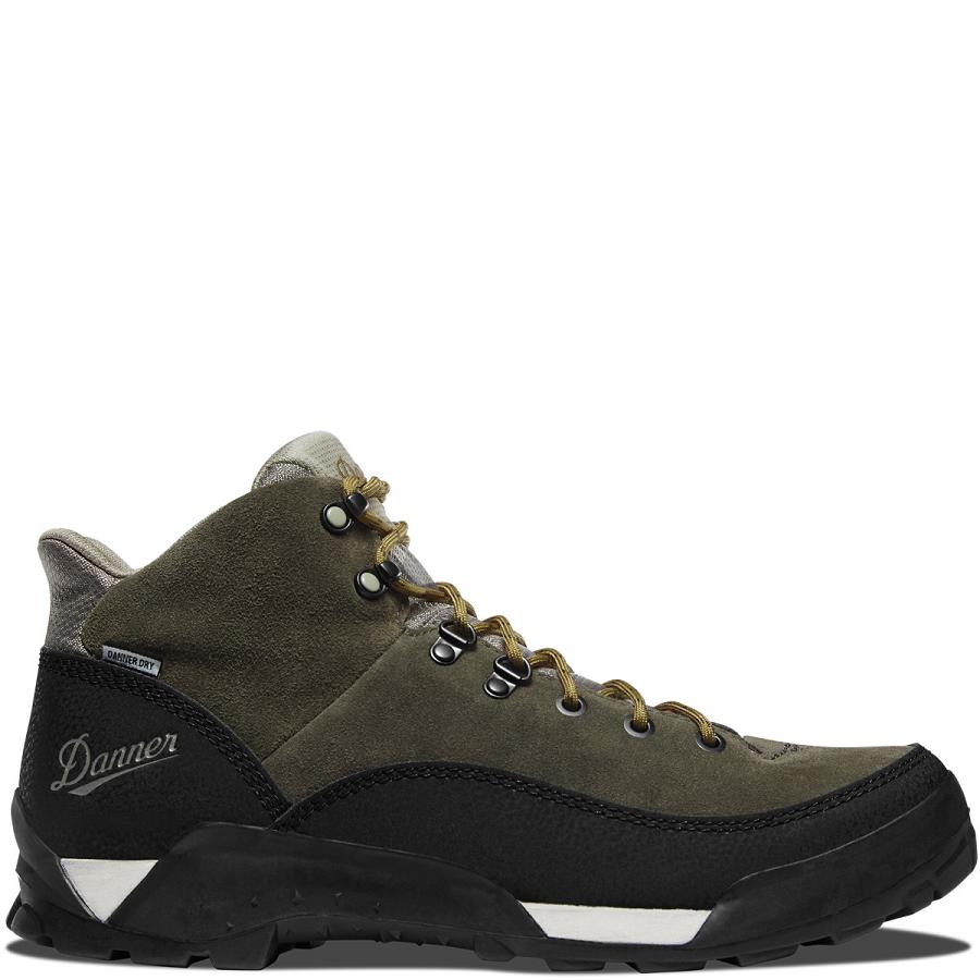 Black Olive Men\'s Danner Panorama 6\