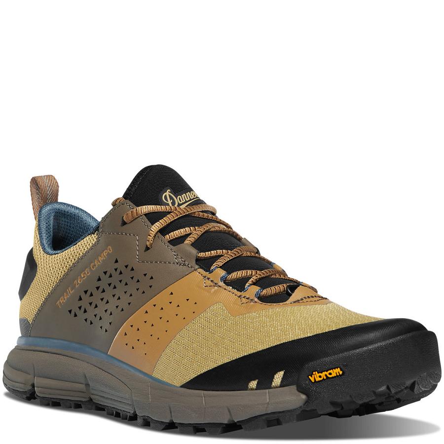 Brown / Blue Men's Danner Trail 2650 Campo Shoes | NZ4693MA