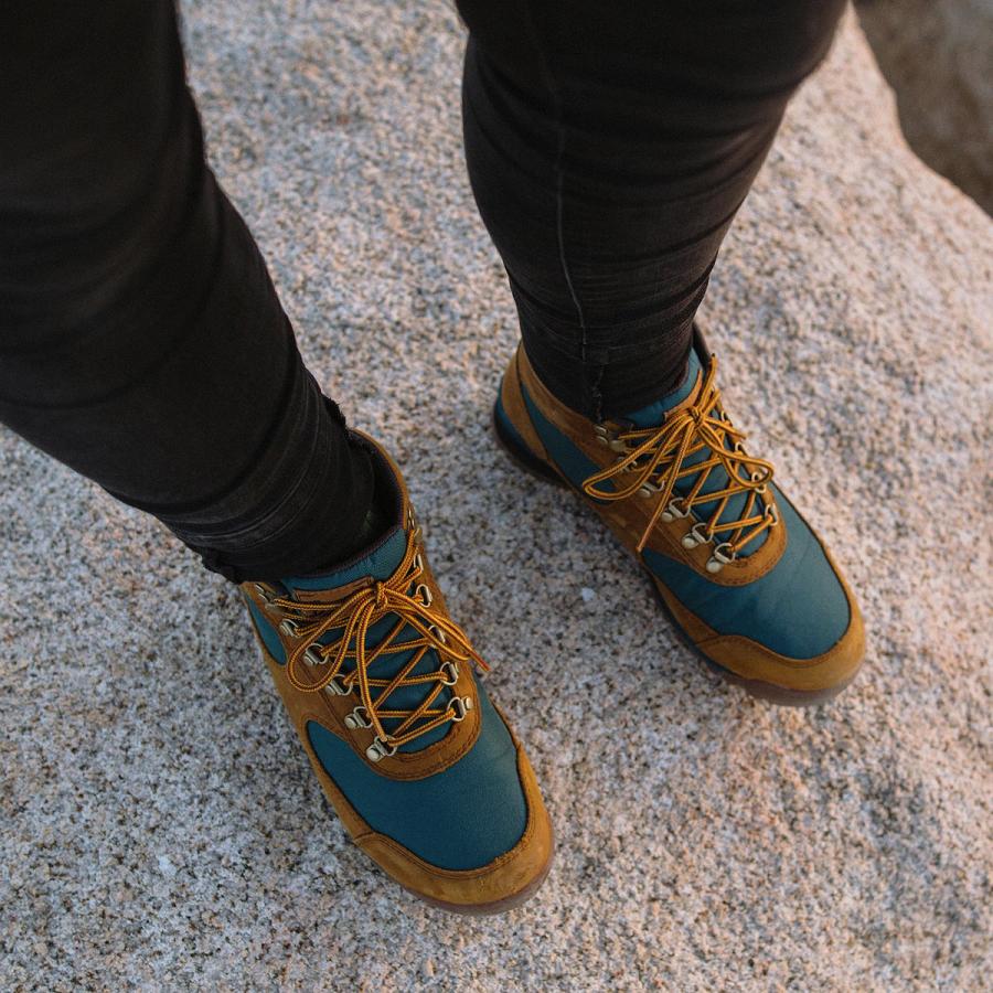 Brown / Deep Turquoise Women's Danner Jag Hiking Boots | NZ4424OR