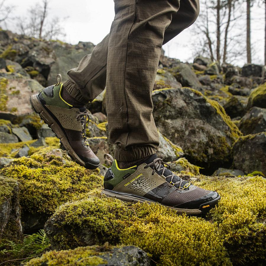 Brown / Green Men's Danner Trail 2650 Campo GTX Hiking Shoes | NZ4772MA