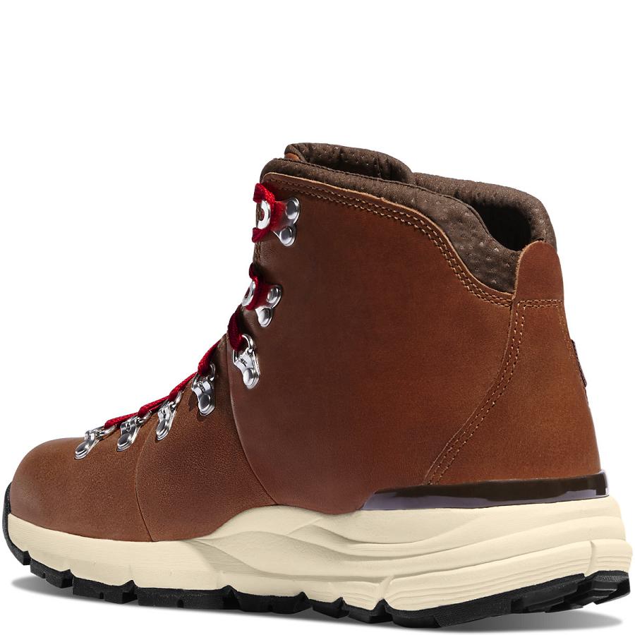 Brown Men's Danner Mountain 600 4.5