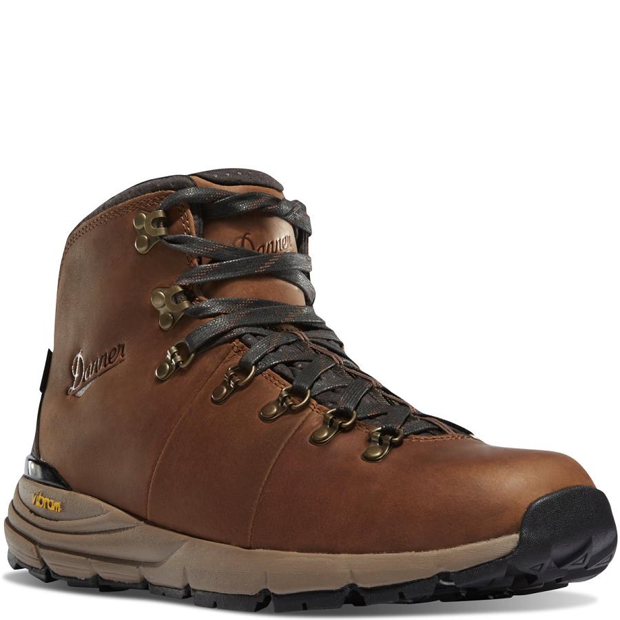 Brown Men's Danner Mountain 600 4.5