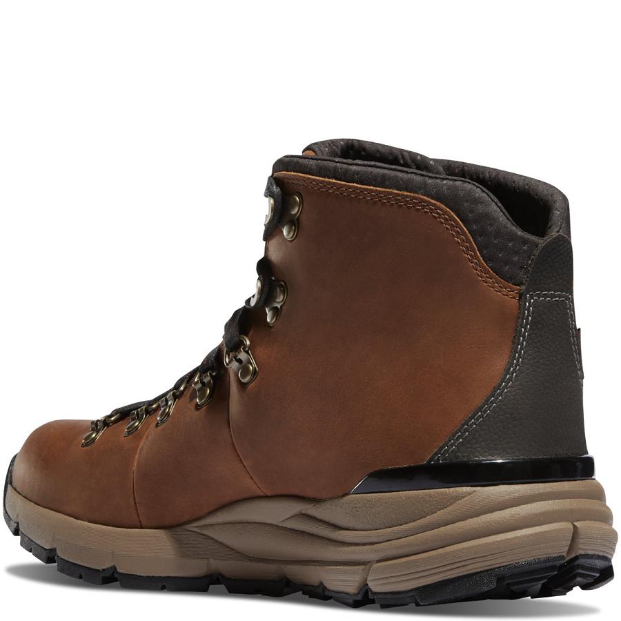 Brown Men's Danner Mountain 600 4.5