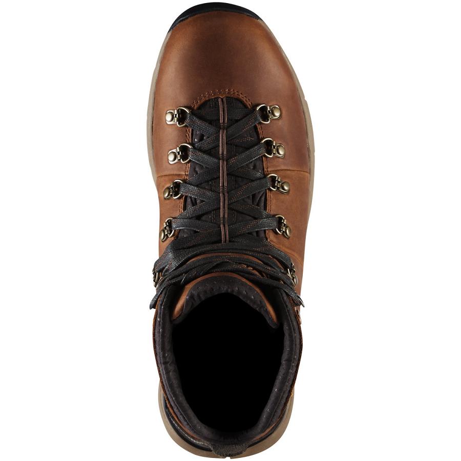 Brown Men's Danner Mountain 600 4.5