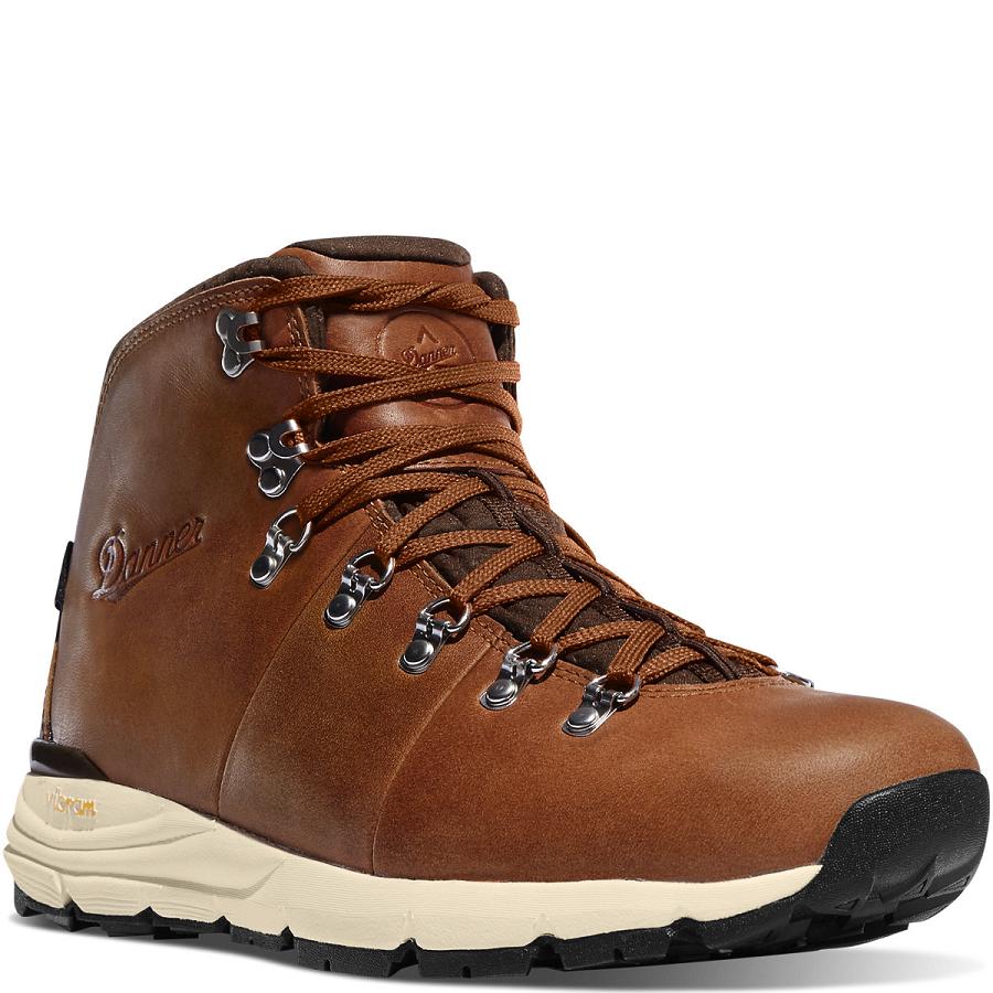 Brown Men's Danner Mountain 600 4.5