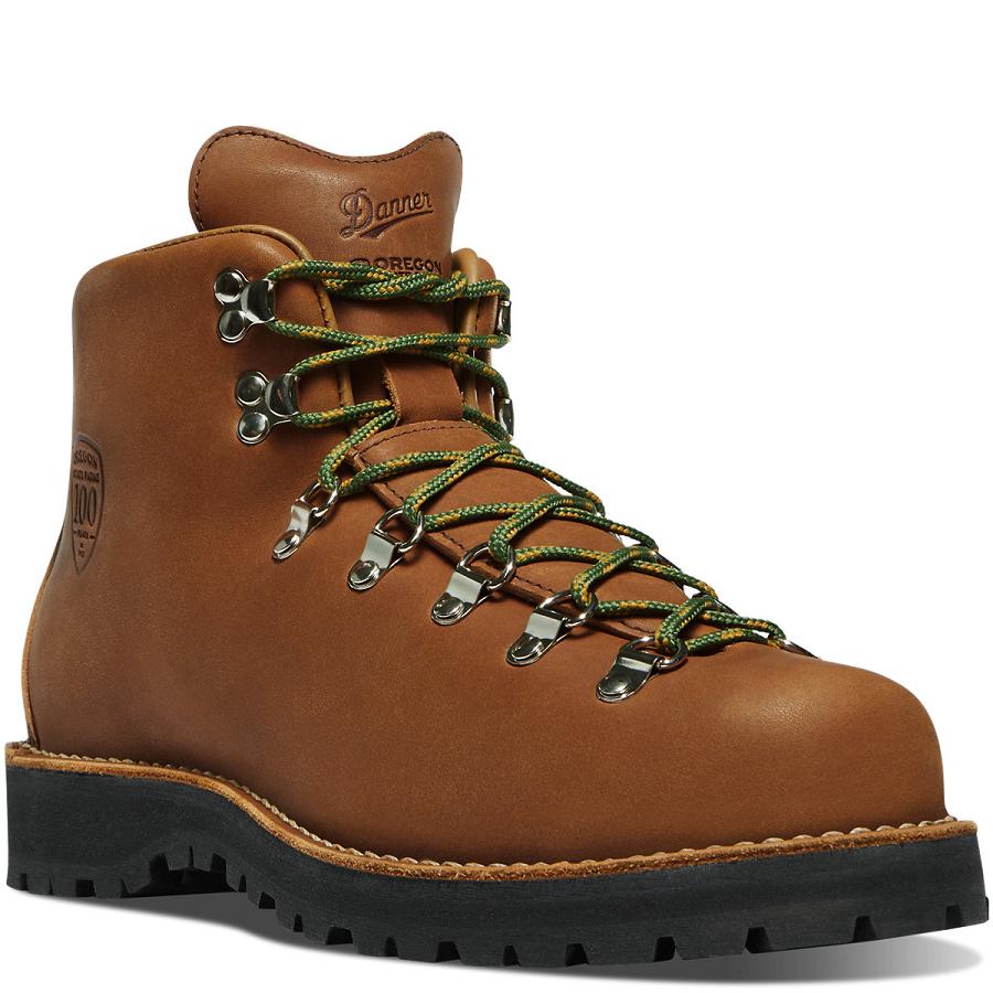 Brown Men's Danner Mountain Light OR State Parks Centennial Work Boots | NZ4880PQ