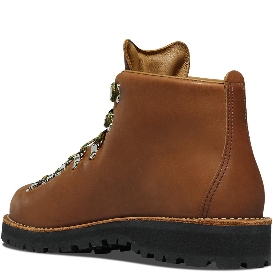 Brown Men's Danner Mountain Light OR State Parks Centennial Work Boots | NZ4880PQ