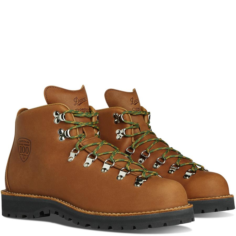 Brown Men's Danner Mountain Light OR State Parks Centennial Work Boots | NZ4880PQ