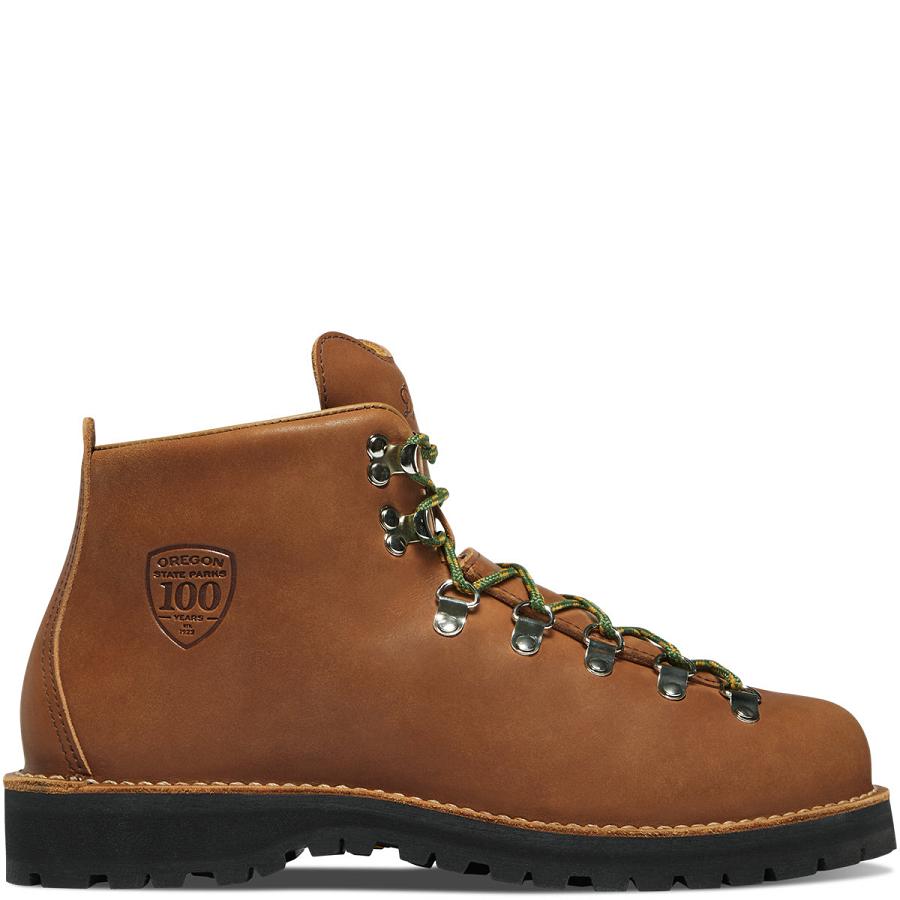 Brown Men\'s Danner Mountain Light OR State Parks Centennial Work Boots | NZ4880PQ