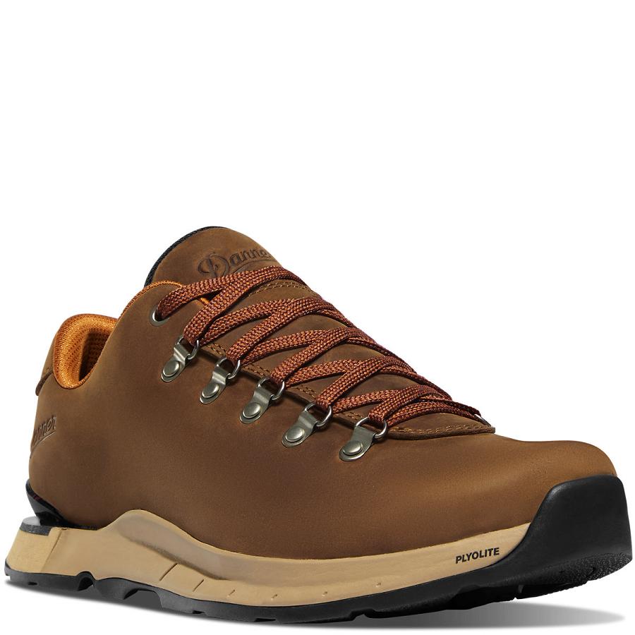 Brown Men's Danner Mountain Overlook Hiking Shoes | NZ4784DN