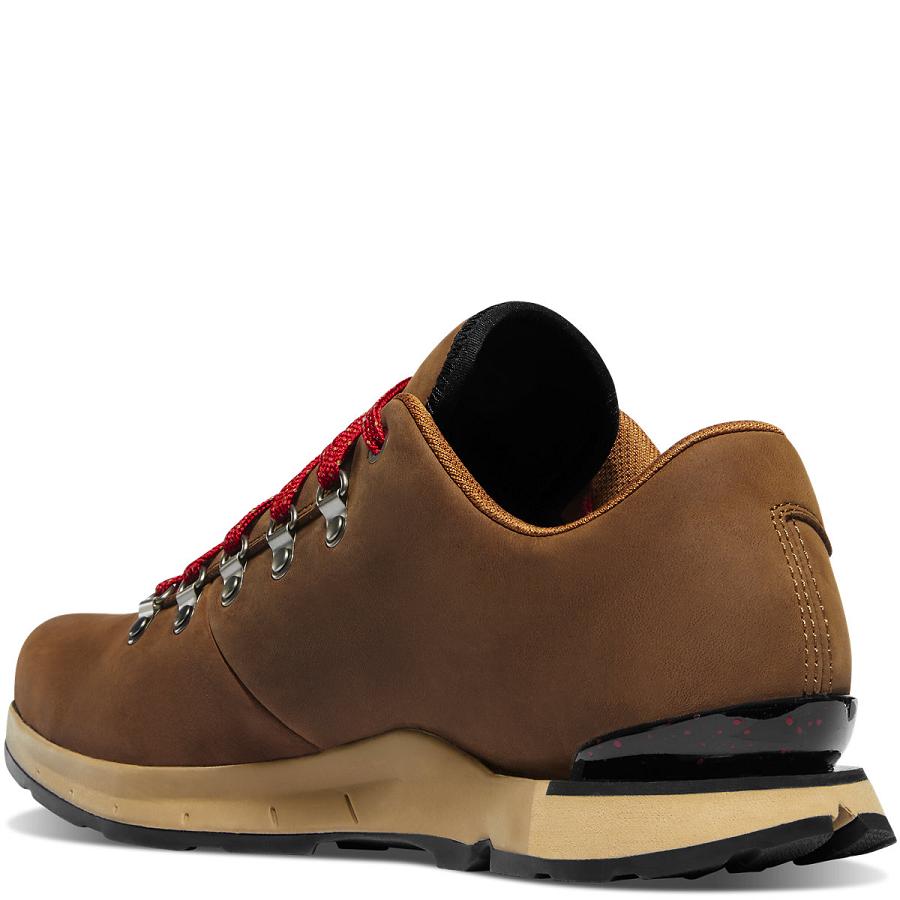 Brown Men's Danner Mountain Overlook Hiking Shoes | NZ4784DN