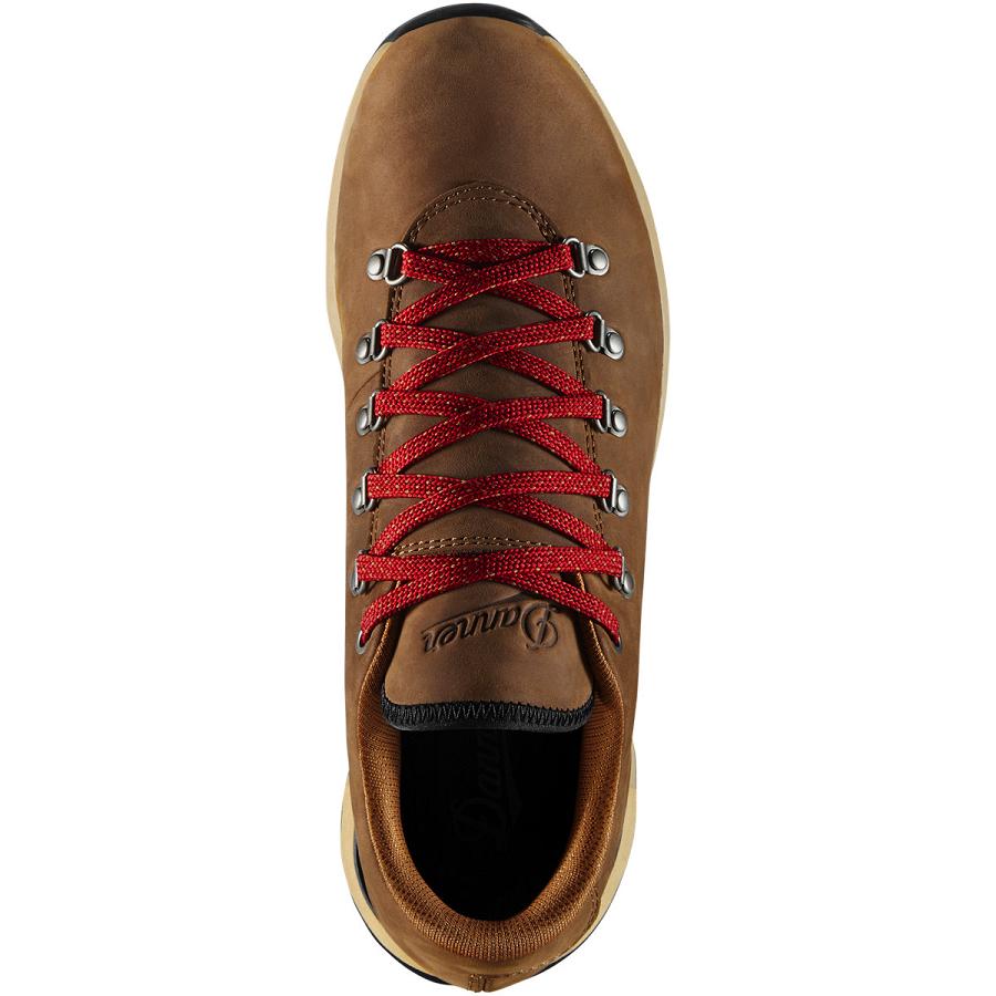 Brown Men's Danner Mountain Overlook Shoes | NZ4685IS