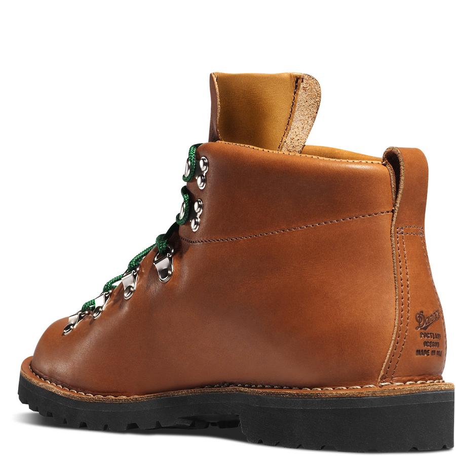 Brown Men's Danner Mountain Trail 5.5