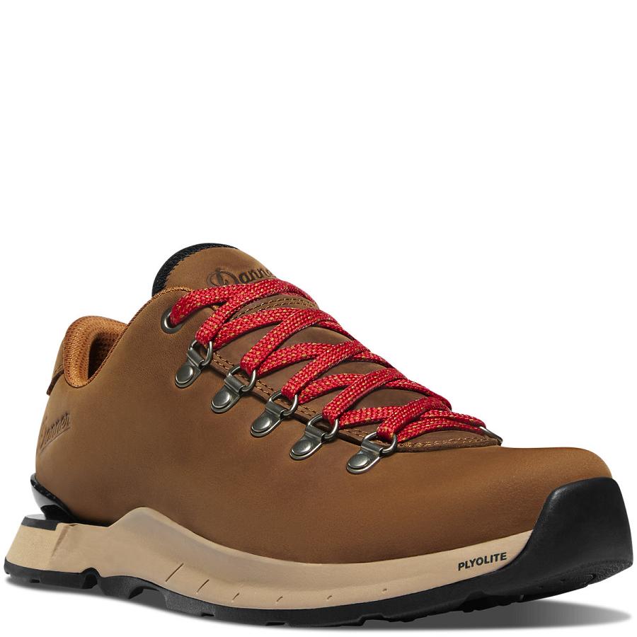 Brown Women's Danner Mountain Overlook Hiking Shoes | NZ4377RW