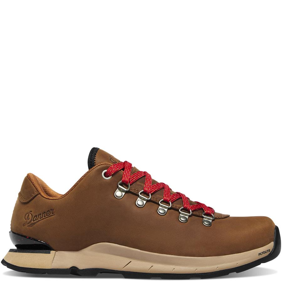 Brown Women\'s Danner Mountain Overlook Hiking Shoes | NZ4377RW