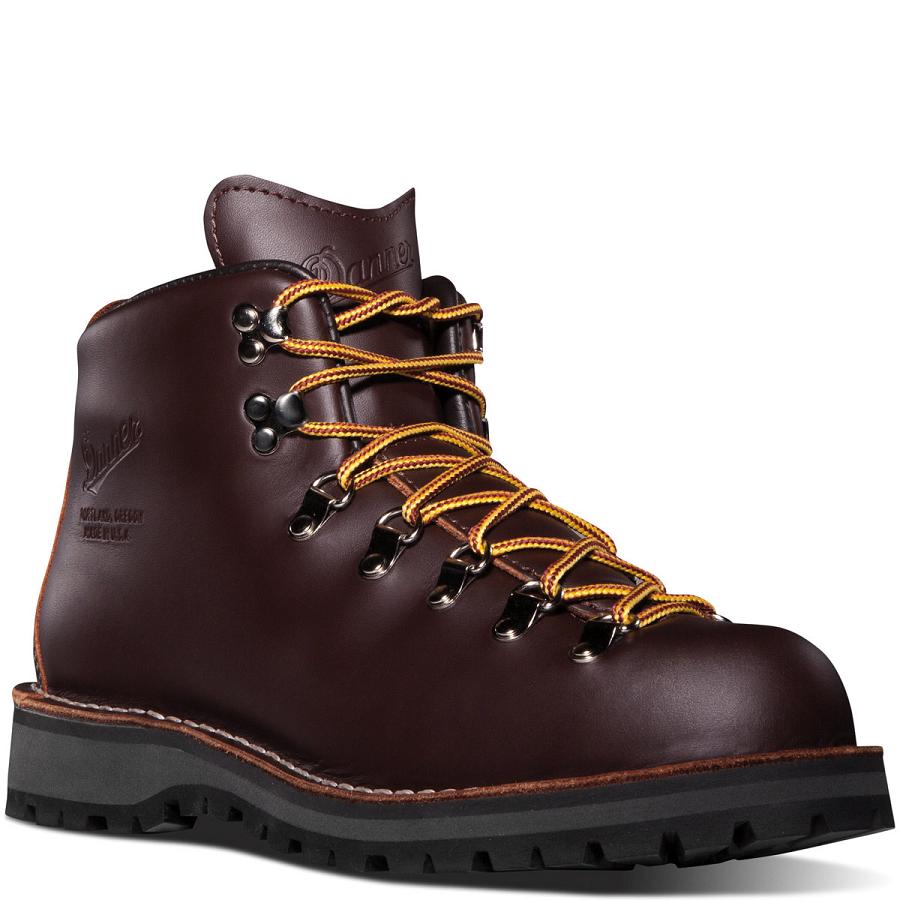 Chocolate Men's Danner Mountain Light - GORE-TEX Hiking Boots | NZ4806HK