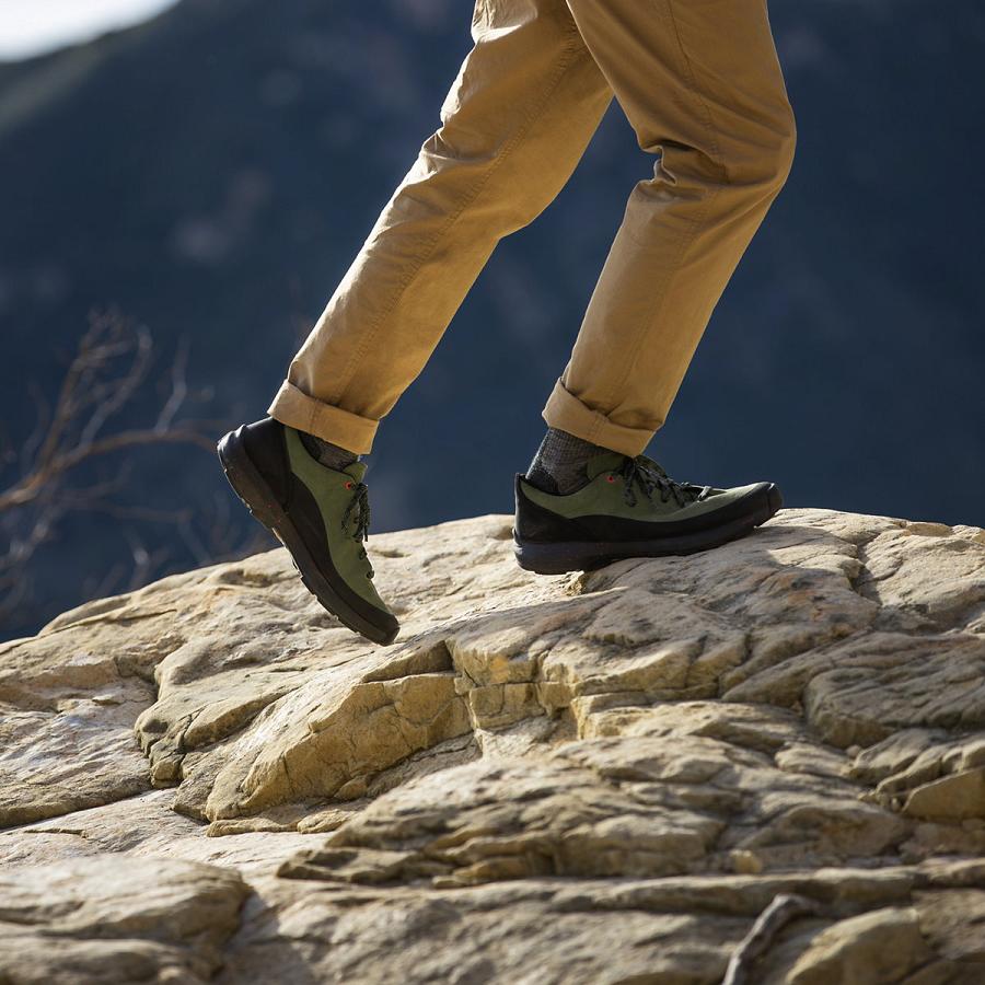 Olive Men's Danner Caprine Low Suede Hiking Shoes | NZ4783FM